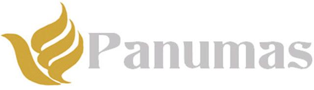 PanumasAirways.jpg