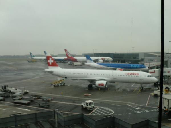 CIMG3310_resize.JPG