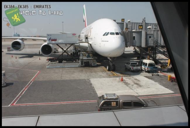 EK384_023.JPG