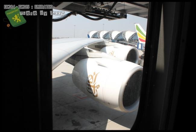 EK384_028.JPG