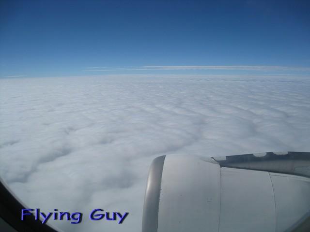 IMG_1716.jpg