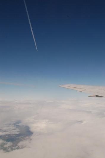 DSC_3414.jpg