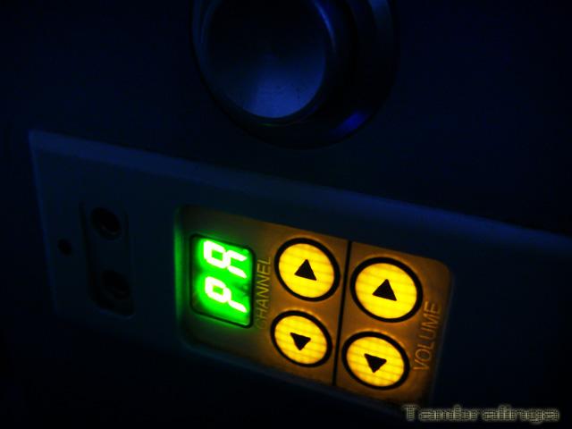 SDC13819.jpg
