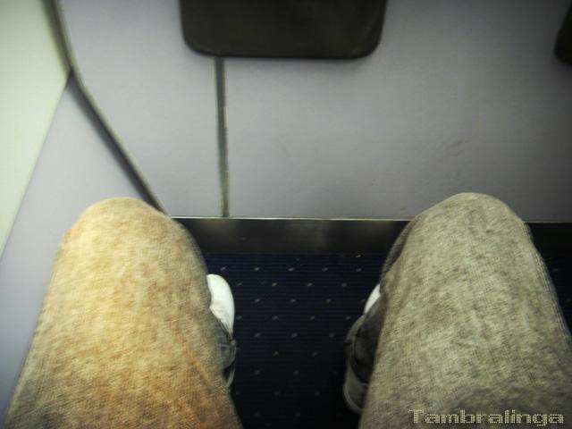 SDC14236.jpg