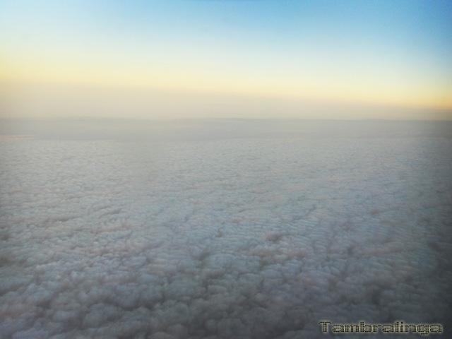 SDC13869.jpg