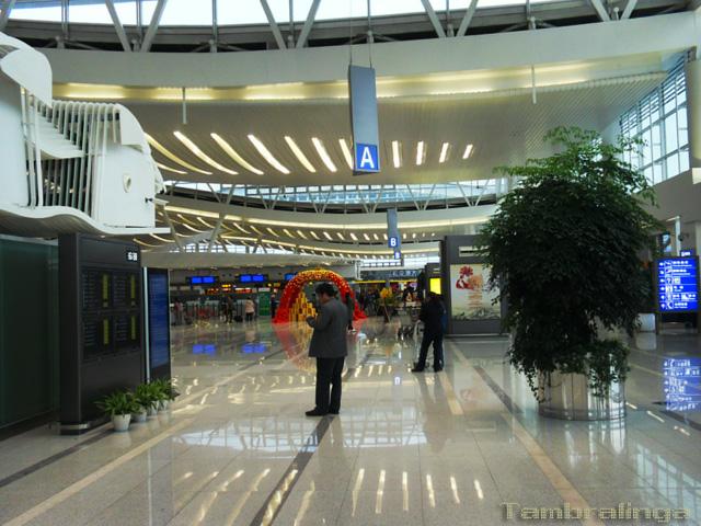 SDC14217.jpg