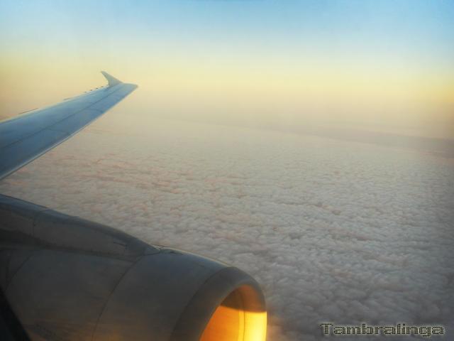 SDC13871.jpg