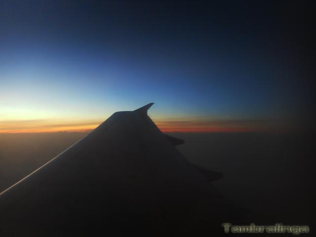 SDC13840.jpg