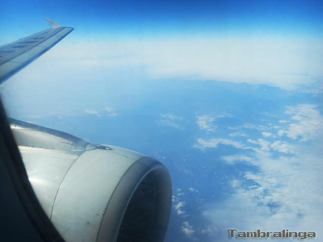 SDC13875.jpg