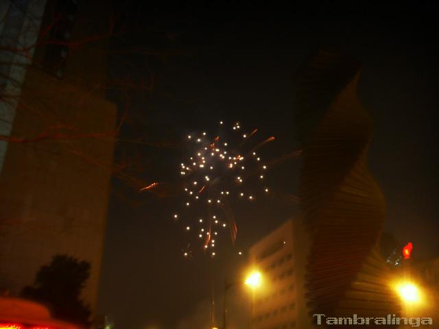SDC13982.jpg