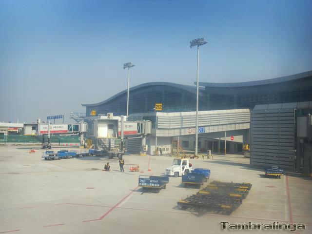 SDC13887.jpg
