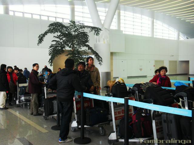 SDC14209.jpg