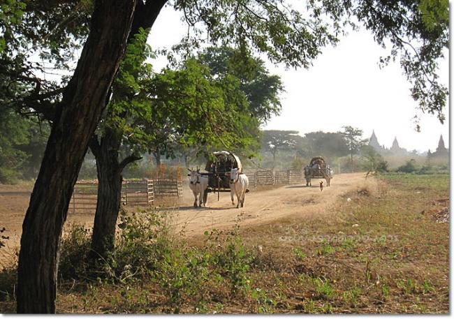 bagan0035.jpg
