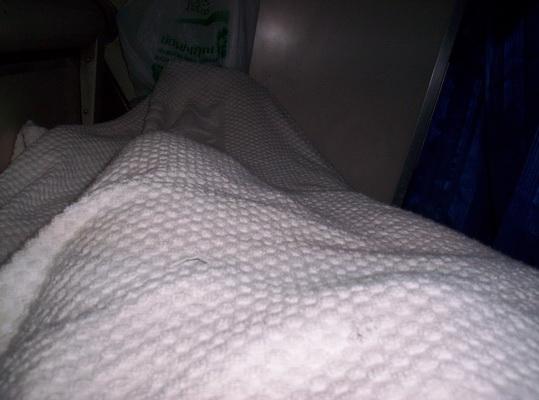 100_6188_resize.JPG