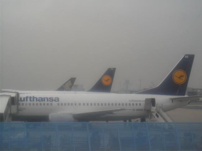 2011_0228LEKY0022.JPG