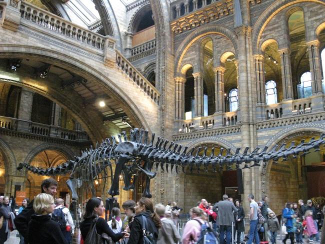 Museum of Natural History 086.jpg
