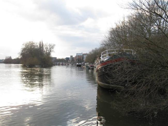 Richmond Thames 059.jpg
