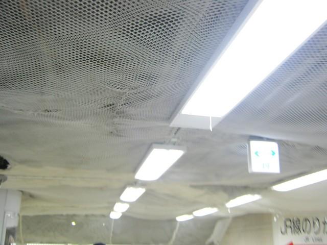 Image00050.jpg