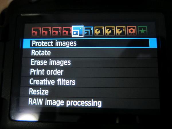 IMG_3536_resize.jpg