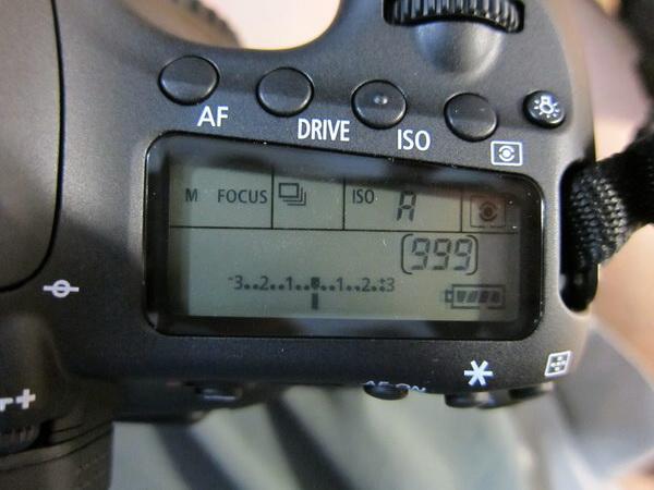 IMG_3506_resize.jpg