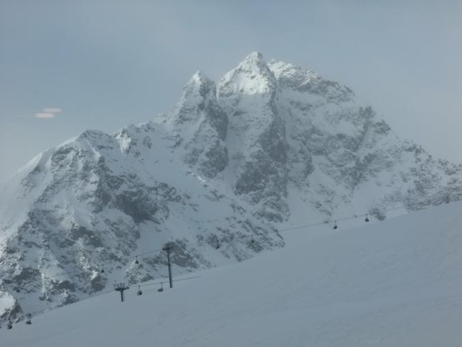 490_resize.JPG
