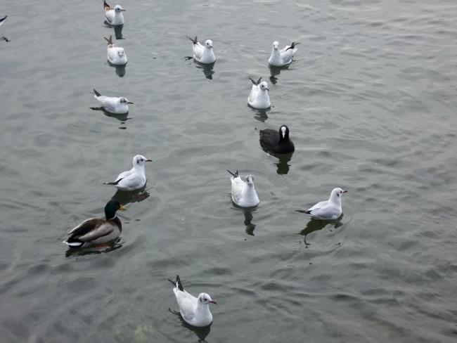 629_resize.JPG