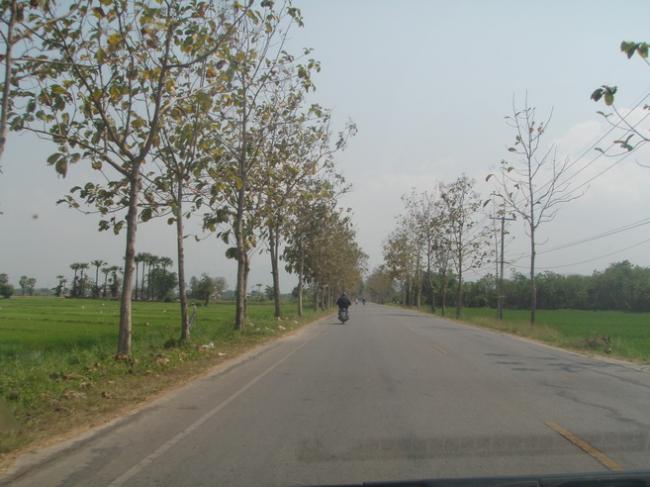 P3040064_resize.JPG