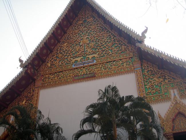 P3060474_resize.JPG