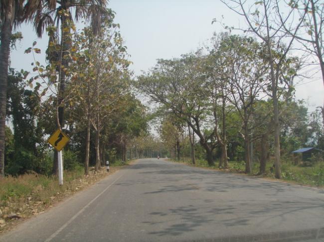 P3040066_resize.JPG