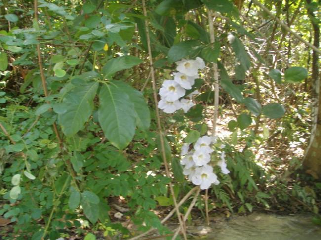 P3050376_resize.JPG