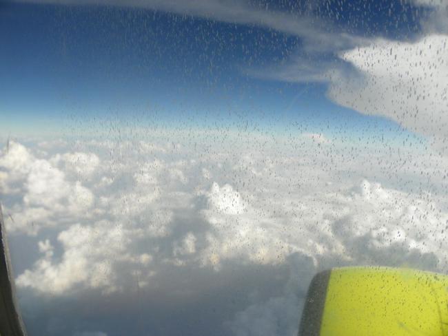 100_4568_resize.JPG