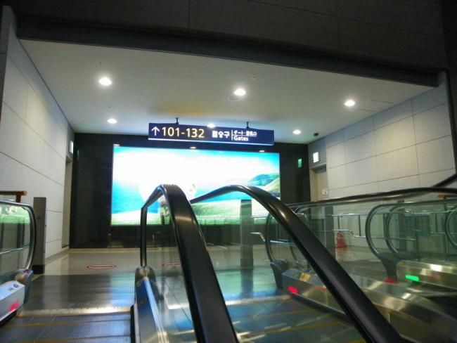 100_5765_resize.JPG
