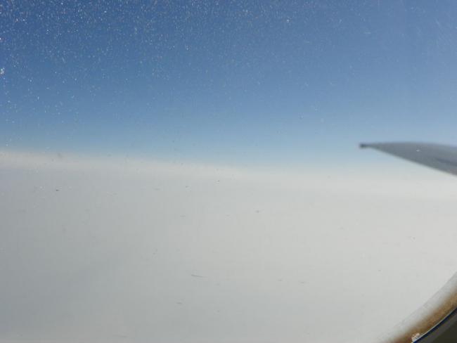 100_5843_resize.JPG