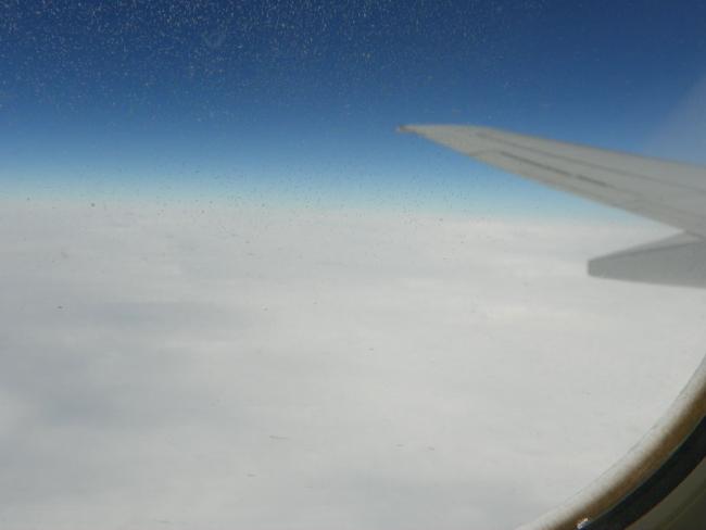 100_5850_resize.JPG