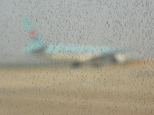 100_5801_resize.JPG