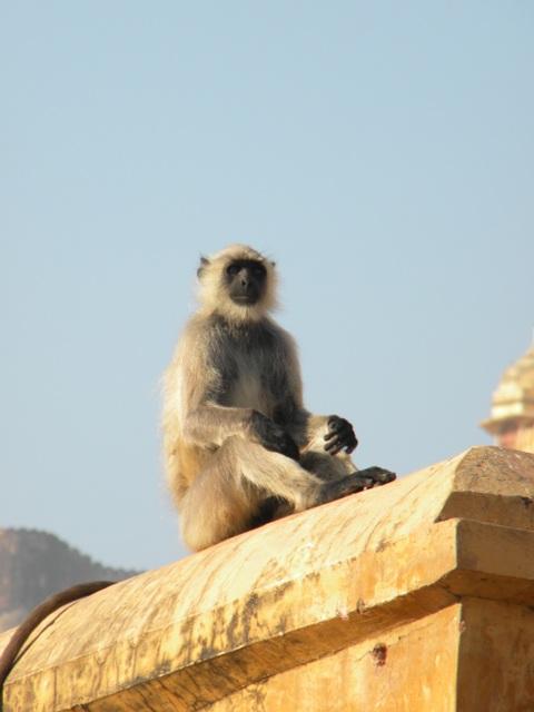 DSCN5847.JPG
