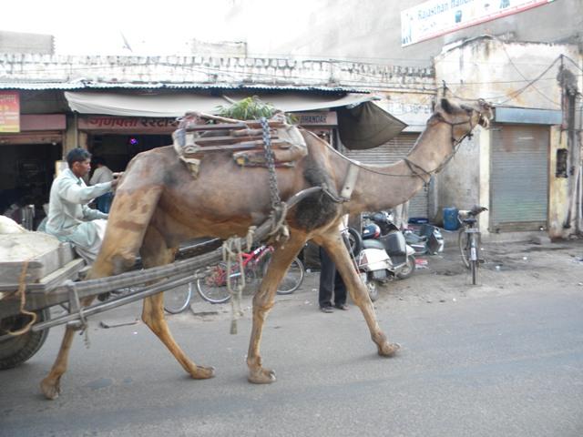 DSCN6024.JPG
