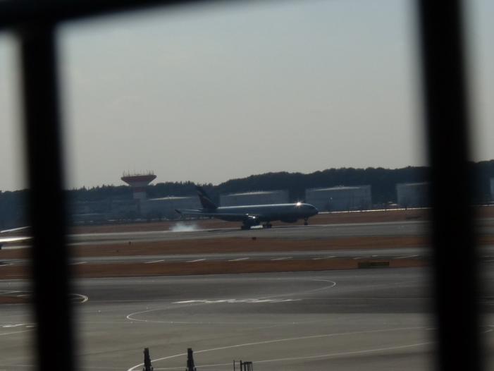 169.JPG