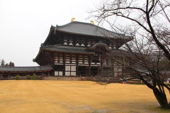 IMG_1008_resize.JPG