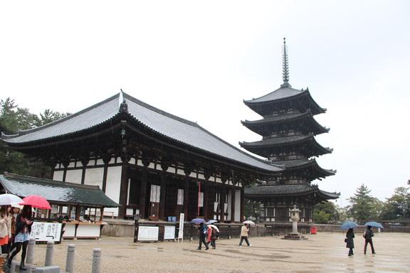 IMG_1054_resize.JPG