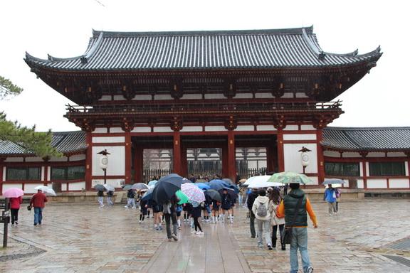 IMG_1006_resize.JPG