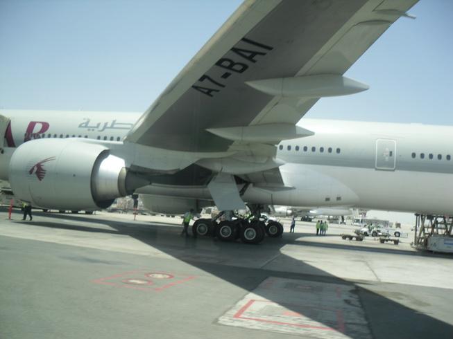 SDC16020_resize.JPG