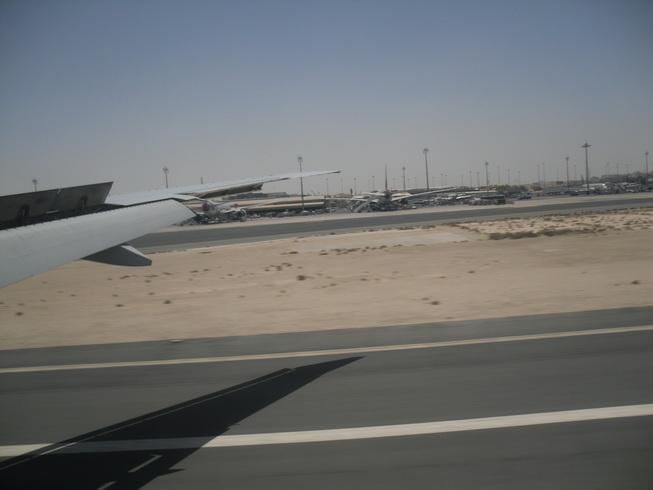 SDC16003_resize.JPG