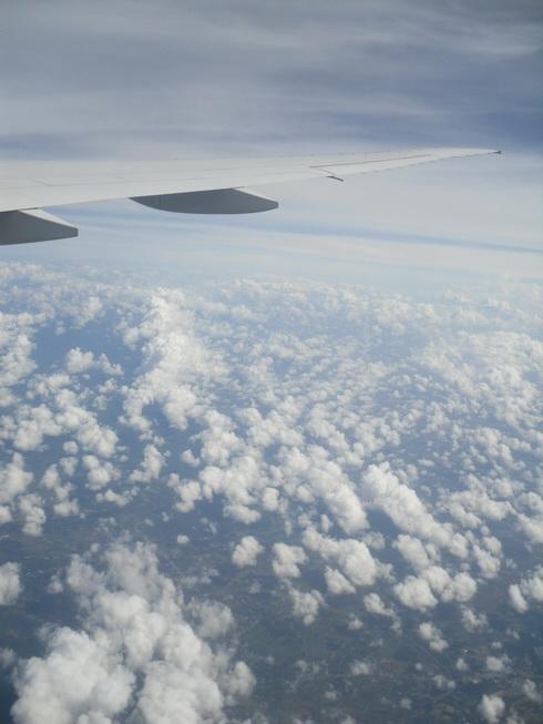 SDC15937_resize.JPG