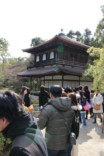 IMG_1172_resize.JPG