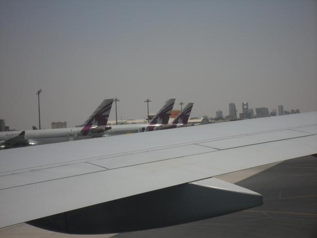 SDC16008_resize.JPG