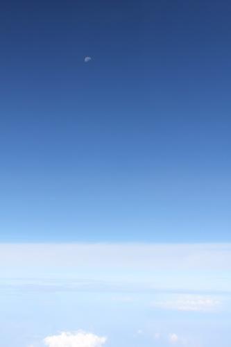 IMG_2397_resize.JPG