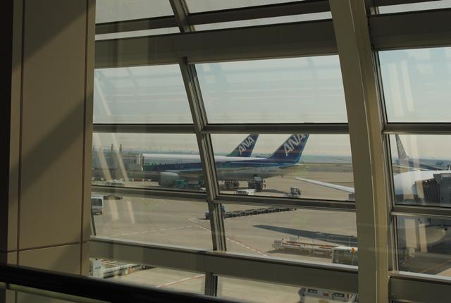 DSC_0938.JPG