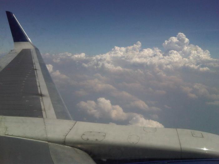 IMG04754-20120302-1215.jpg