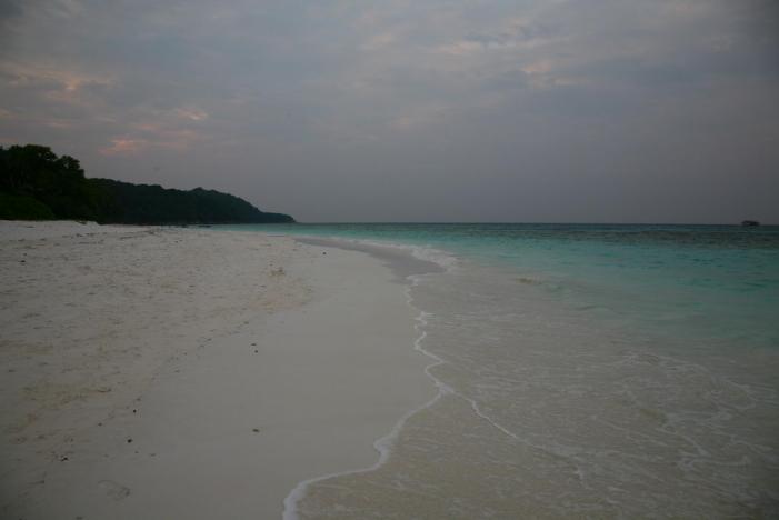 IMG_4551_resize.JPG